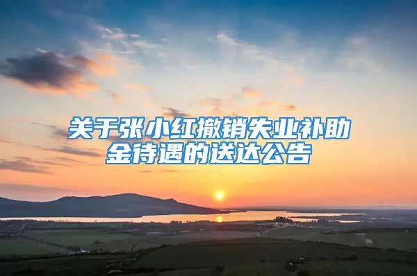 關(guān)于張小紅撤銷失業(yè)補助金待遇的送達公告