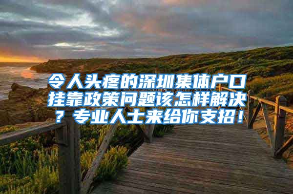 令人頭疼的深圳集體戶口掛靠政策問題該怎樣解決？專業(yè)人士來給你支招！