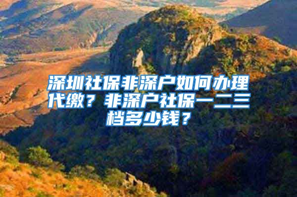 深圳社保非深戶如何辦理代繳？非深戶社保一二三檔多少錢？