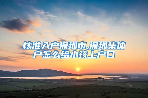 核準入戶深圳市,深圳集體戶怎么給小孩上戶口