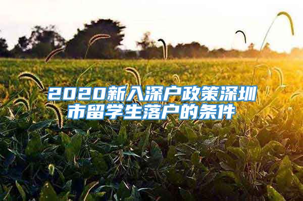 2020新入深戶政策深圳市留學(xué)生落戶的條件