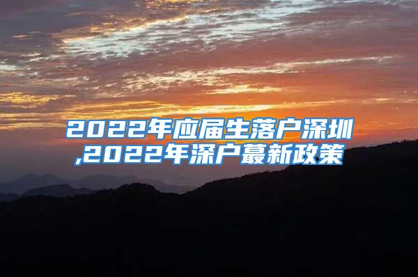 2022年應屆生落戶深圳,2022年深戶蕞新政策