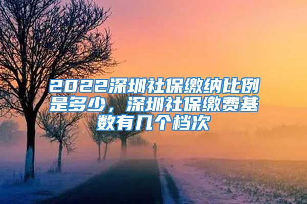 2022深圳社保繳納比例是多少，深圳社保繳費(fèi)基數(shù)有幾個(gè)檔次