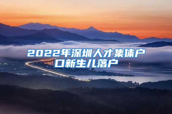 2022年深圳人才集體戶口新生兒落戶