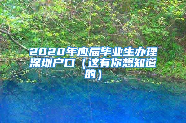 2020年應屆畢業(yè)生辦理深圳戶口（這有你想知道的）