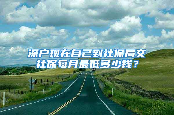 深戶現(xiàn)在自己到社保局交社保每月最低多少錢？