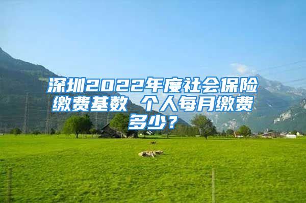 深圳2022年度社會(huì)保險(xiǎn)繳費(fèi)基數(shù) 個(gè)人每月繳費(fèi)多少？