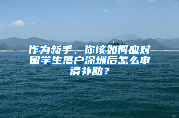 作為新手，你該如何應(yīng)對留學(xué)生落戶深圳后怎么申請補(bǔ)助？