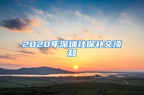 2020年深圳社保補交須知