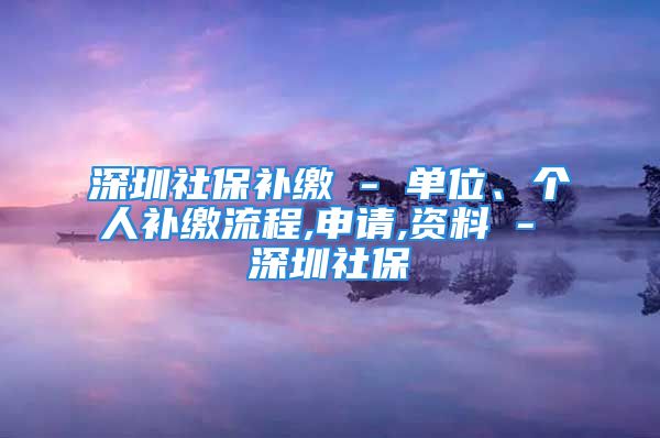 深圳社保補繳 - 單位、個人補繳流程,申請,資料 - 深圳社保