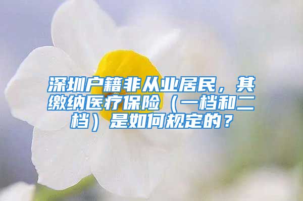 深圳戶籍非從業(yè)居民，其繳納醫(yī)療保險(xiǎn)（一檔和二檔）是如何規(guī)定的？