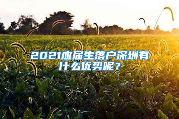 2021應(yīng)屆生落戶深圳有什么優(yōu)勢(shì)呢？