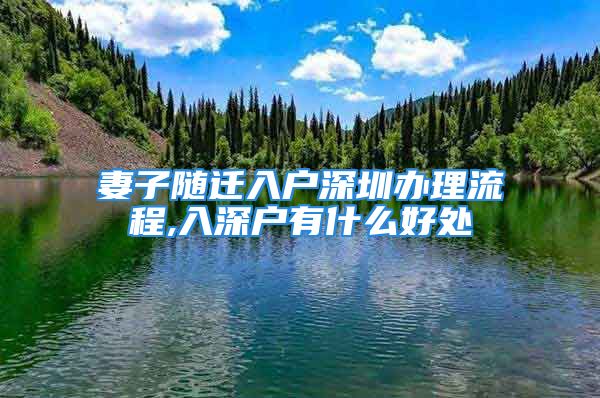 妻子隨遷入戶深圳辦理流程,入深戶有什么好處