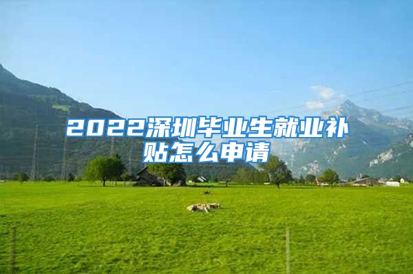 2022深圳畢業(yè)生就業(yè)補(bǔ)貼怎么申請