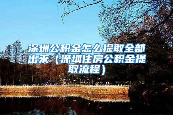 深圳公積金怎么提取全部出來（深圳住房公積金提取流程）