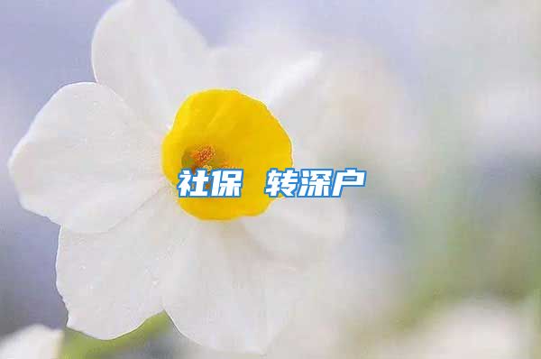 社保 轉(zhuǎn)深戶(hù)