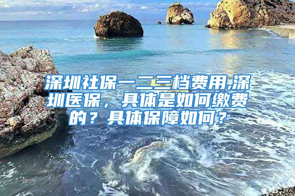 深圳社保一二三檔費(fèi)用,深圳醫(yī)保，具體是如何繳費(fèi)的？具體保障如何？