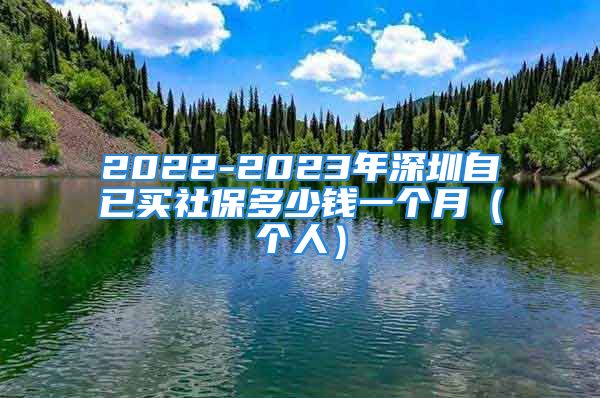 2022-2023年深圳自已買社保多少錢一個月（個人）