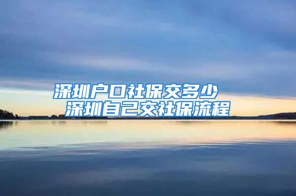 深圳戶口社保交多少  深圳自己交社保流程