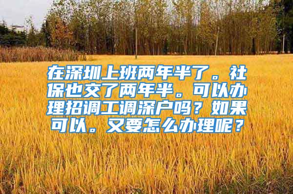 在深圳上班兩年半了。社保也交了兩年半?？梢赞k理招調工調深戶嗎？如果可以。又要怎么辦理呢？