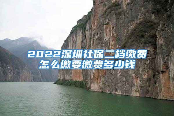 2022深圳社保二檔繳費(fèi)怎么繳要繳費(fèi)多少錢(qián)