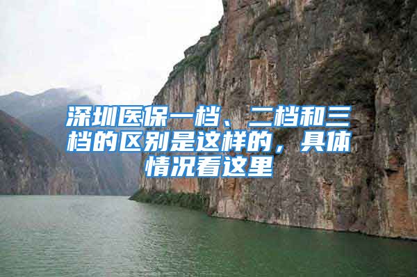 深圳醫(yī)保一檔、二檔和三檔的區(qū)別是這樣的，具體情況看這里