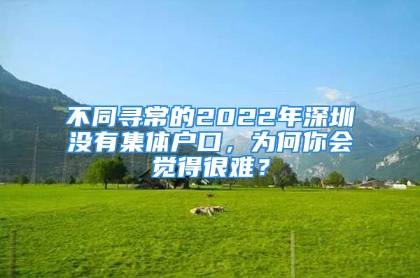 不同尋常的2022年深圳沒有集體戶口，為何你會覺得很難？