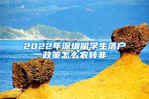 2022年深圳留學(xué)生落戶政策怎么農(nóng)轉(zhuǎn)非