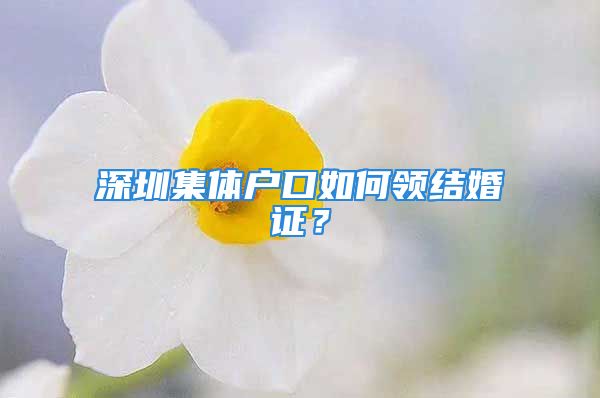 深圳集體戶口如何領(lǐng)結(jié)婚證？