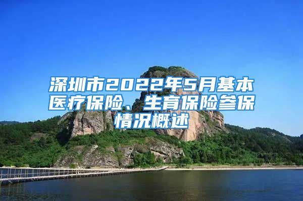 深圳市2022年5月基本醫(yī)療保險(xiǎn)、生育保險(xiǎn)參保情況概述