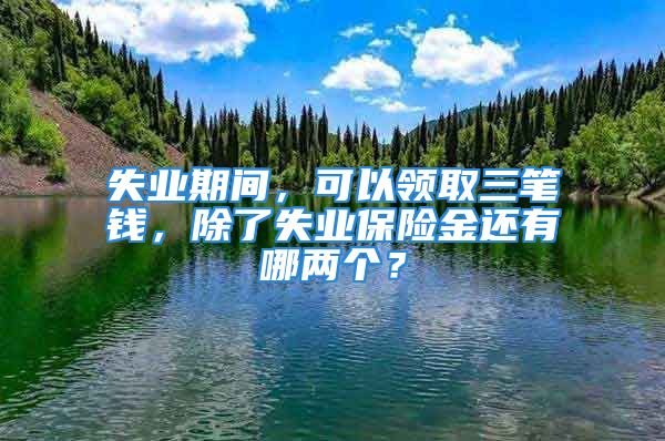 失業(yè)期間，可以領(lǐng)取三筆錢，除了失業(yè)保險金還有哪兩個？