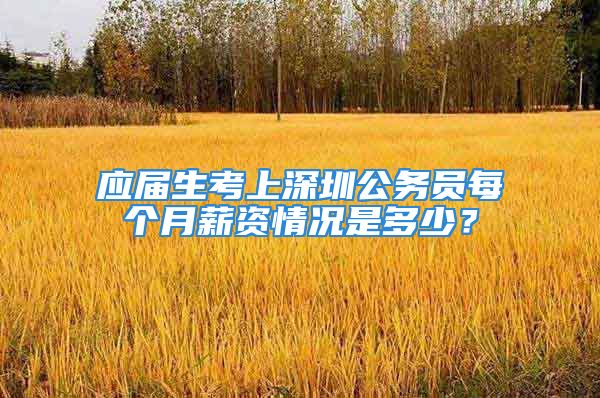 應屆生考上深圳公務員每個月薪資情況是多少？