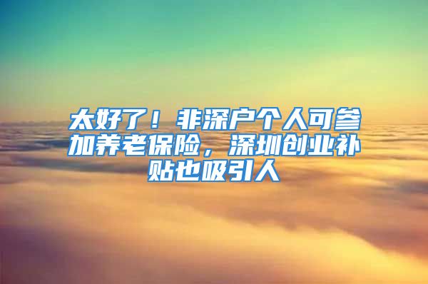 太好了！非深戶個人可參加養(yǎng)老保險，深圳創(chuàng)業(yè)補貼也吸引人