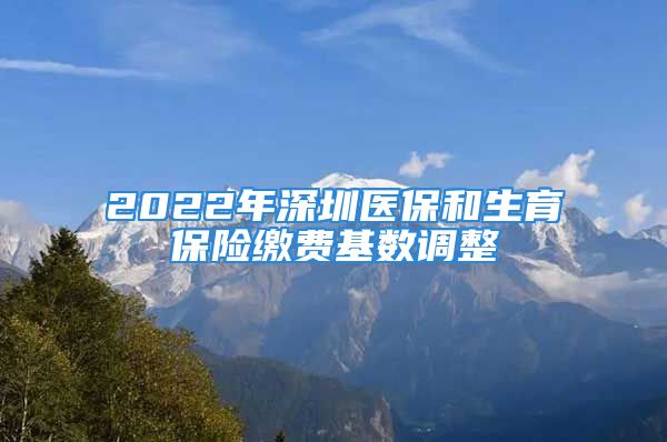 2022年深圳醫(yī)保和生育保險(xiǎn)繳費(fèi)基數(shù)調(diào)整