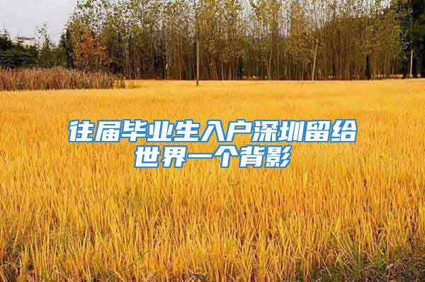 往屆畢業(yè)生入戶深圳留給世界一個(gè)背影