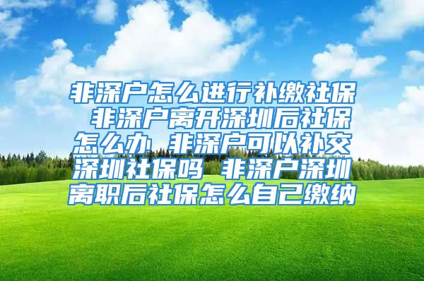 非深戶怎么進行補繳社保 非深戶離開深圳后社保怎么辦 非深戶可以補交深圳社保嗎 非深戶深圳離職后社保怎么自己繳納