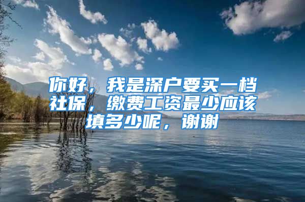 你好，我是深戶要買一檔社保，繳費工資最少應(yīng)該填多少呢，謝謝