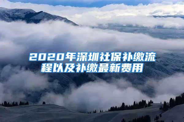 2020年深圳社保補(bǔ)繳流程以及補(bǔ)繳最新費用