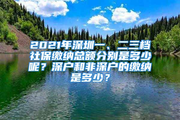 2021年深圳一、二三檔社保繳納總額分別是多少呢？深戶和非深戶的繳納是多少？