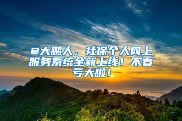 @大鵬人，社保個(gè)人網(wǎng)上服務(wù)系統(tǒng)全新上線(xiàn)！不看虧大啦！