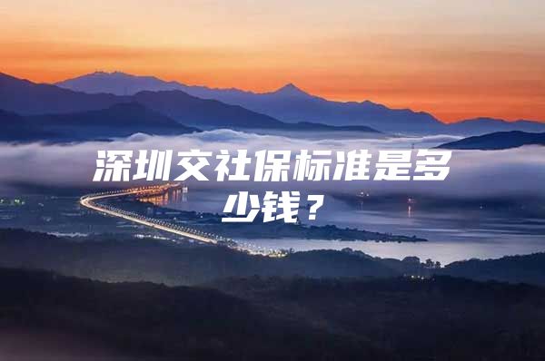 深圳交社保標(biāo)準(zhǔn)是多少錢？