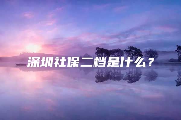 深圳社保二檔是什么？