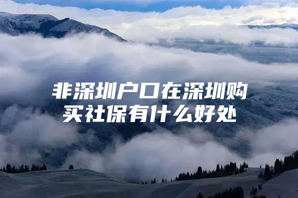 非深圳戶口在深圳購買社保有什么好處