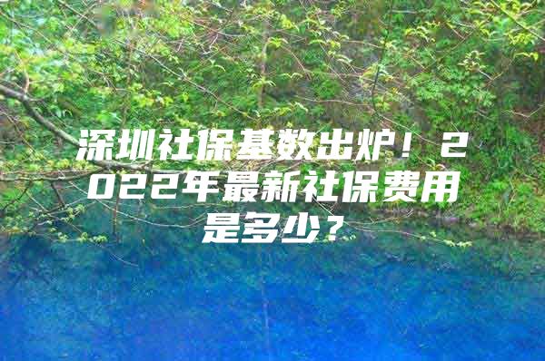 深圳社?；鶖?shù)出爐！2022年最新社保費用是多少？