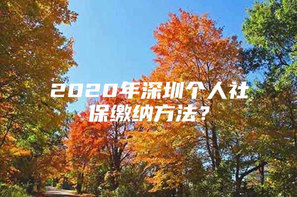 2020年深圳個(gè)人社保繳納方法？