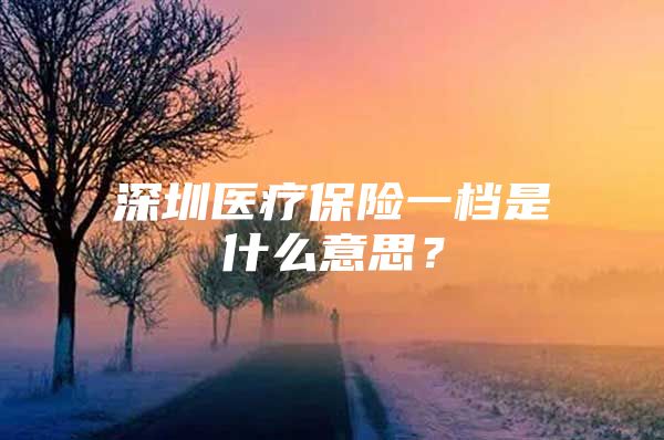 深圳醫(yī)療保險一檔是什么意思？