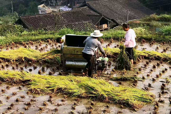 2022年應(yīng)屆生入戶深圳中介辦理深戶怎么收費(fèi)