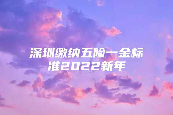 深圳繳納五險一金標(biāo)準(zhǔn)2022新年