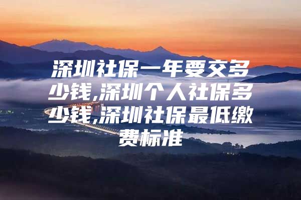 深圳社保一年要交多少錢,深圳個(gè)人社保多少錢,深圳社保最低繳費(fèi)標(biāo)準(zhǔn)