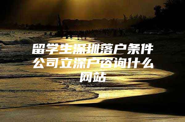 留學生深圳落戶條件公司立深戶咨詢什么網(wǎng)站